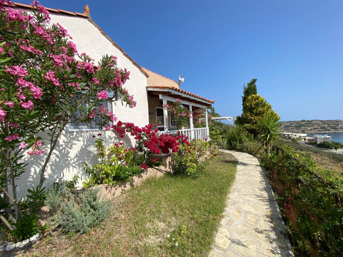 Vaia Villas Holiday home